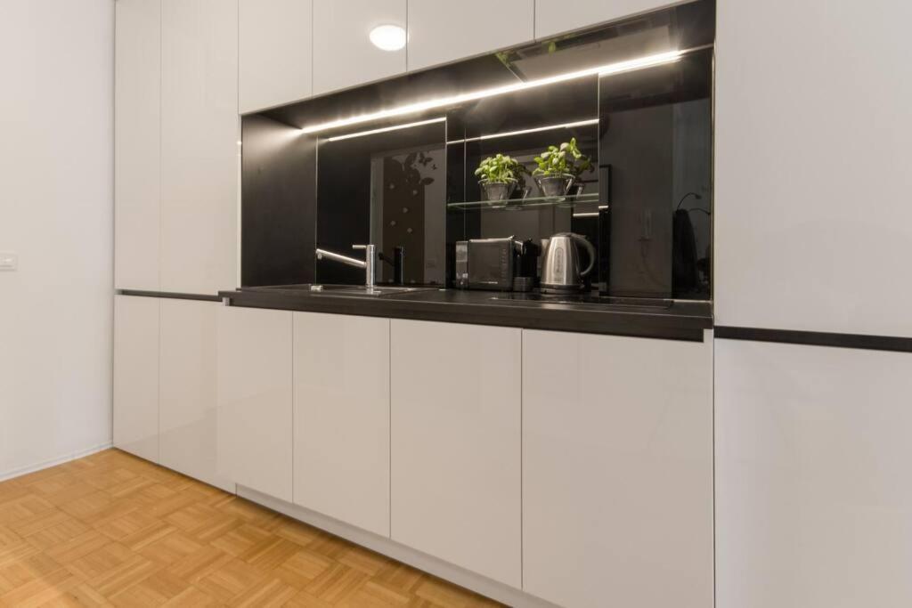Gorgeous Central Flat With Garage ليوبليانا المظهر الخارجي الصورة